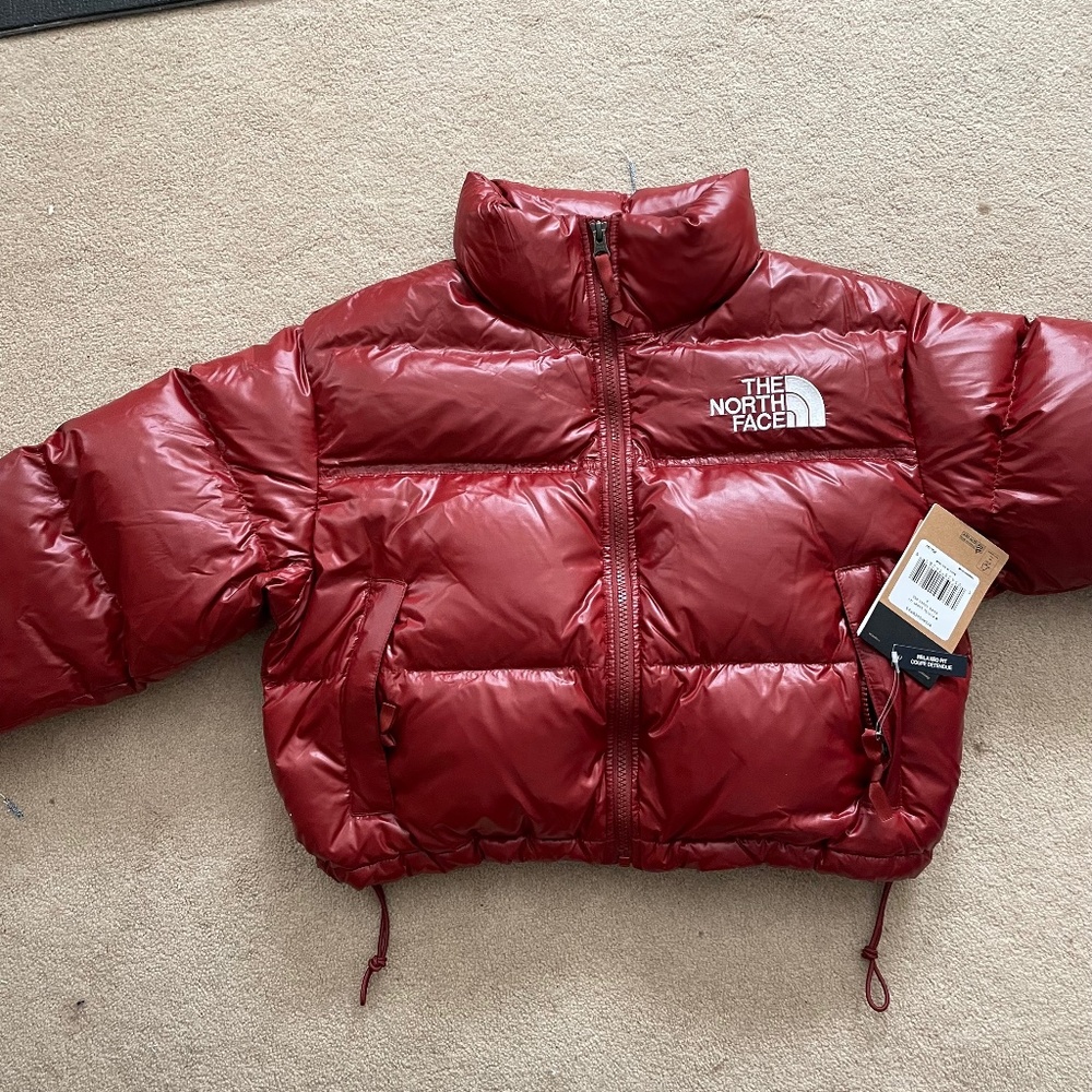 Nuptse Cropped in Brick! Small!